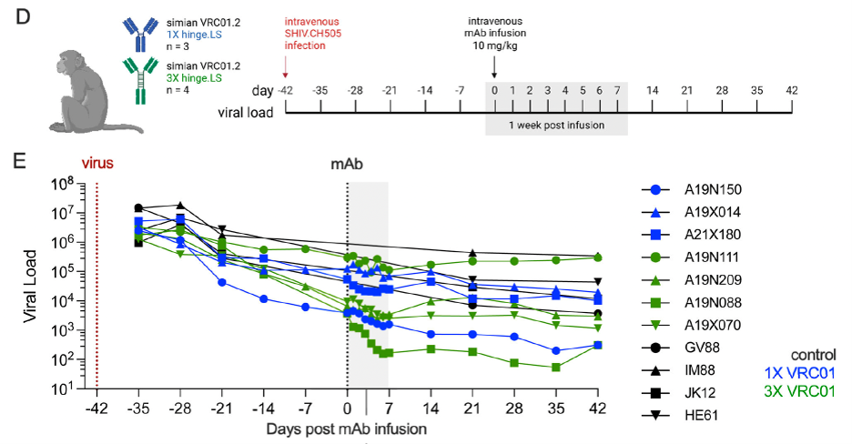Increased-dose